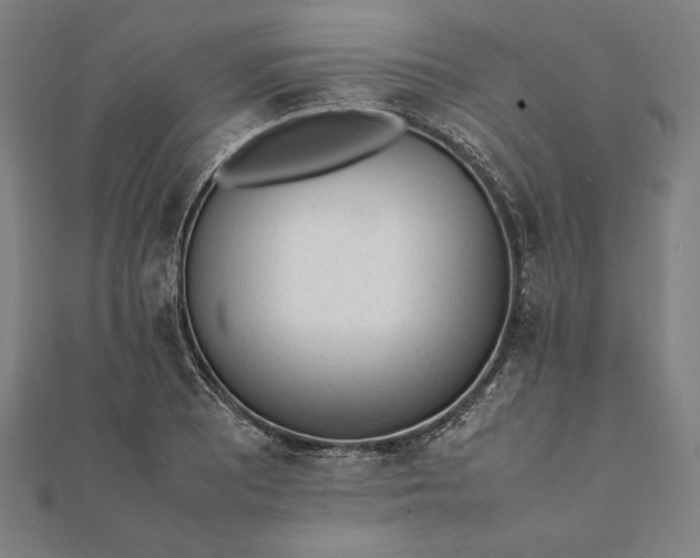 X0000112051081200908181132