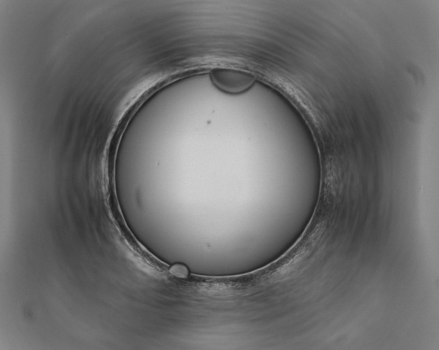 X0000112051082200908181132