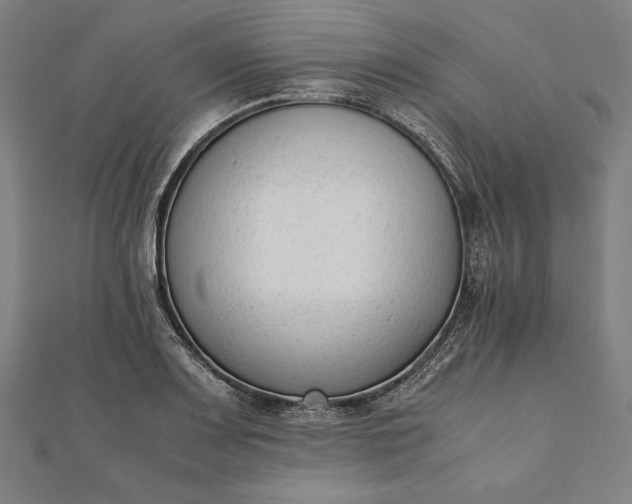 X0000112051083200908181132