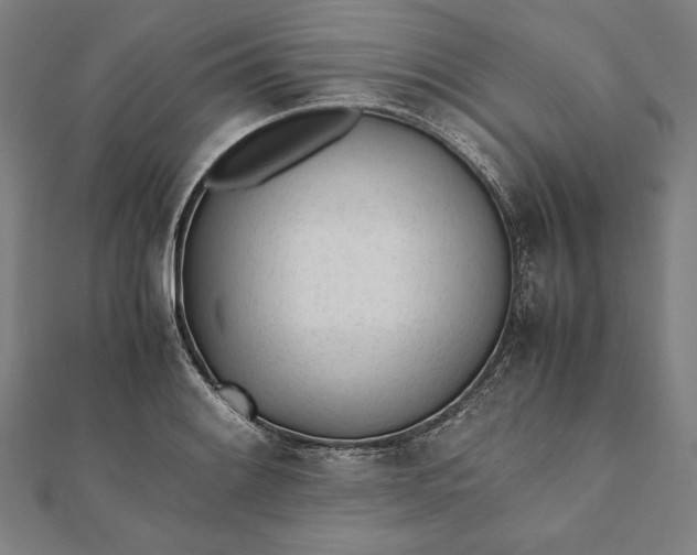 X0000112051084200908181132