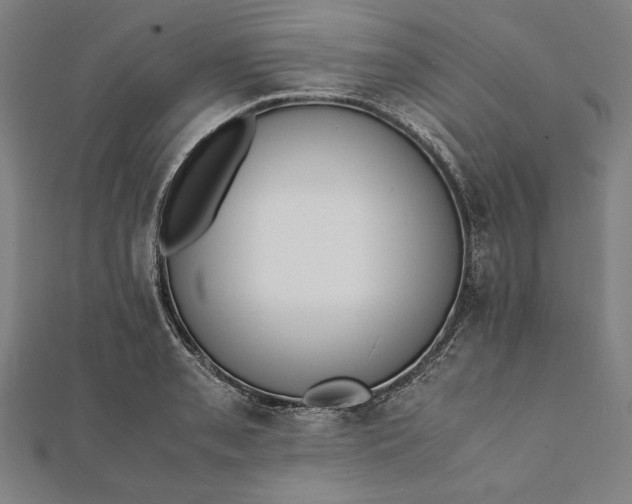 X0000112051085200908181132