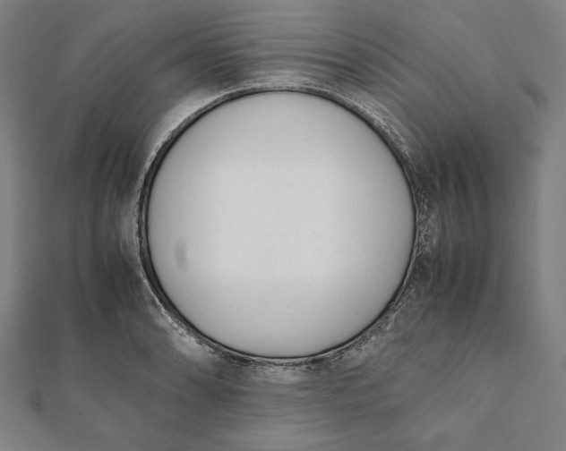 X0000112051086200908181131