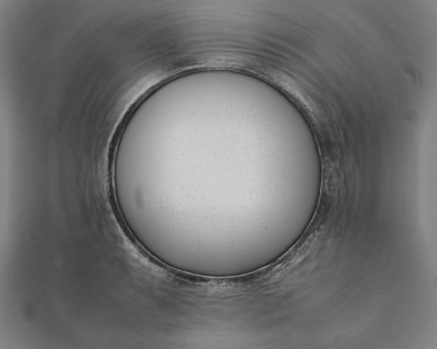 X0000112051087200908181131