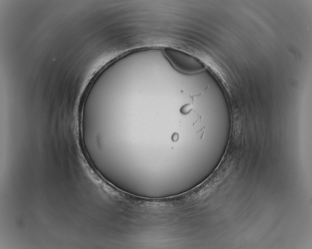 X0000112051088200908181131