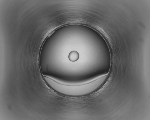 X0000112051089200908181131