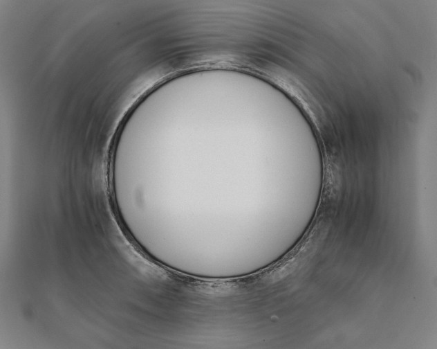 X0000112051090200908181131