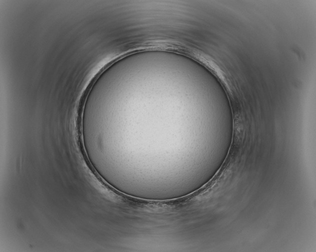 X0000112051091200908181131