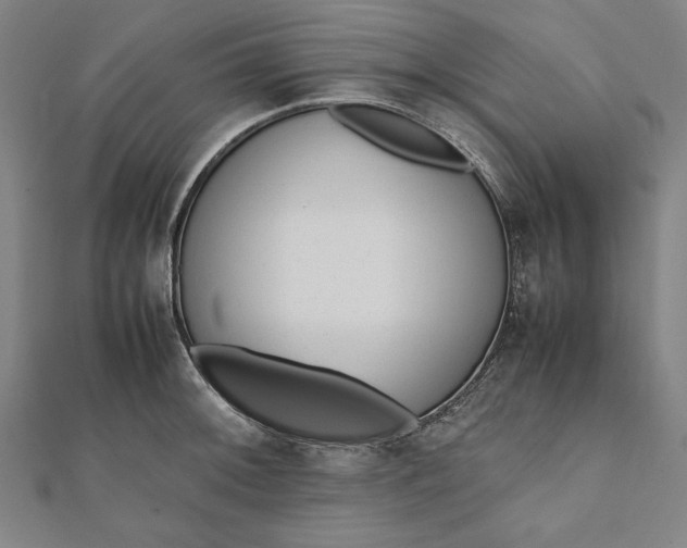 X0000112051092200908181131