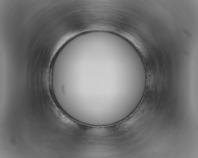 X0000112051094200908181131