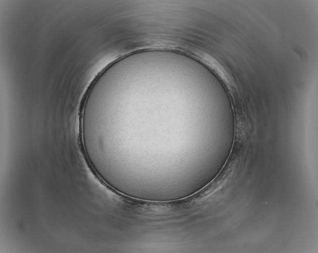 X0000112051095200908181131