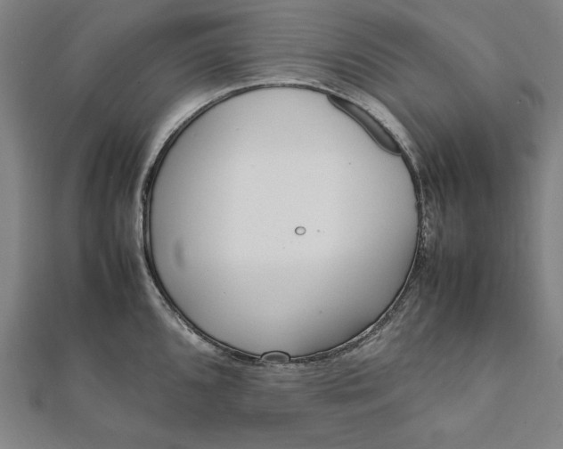 X0000112051096200908181131