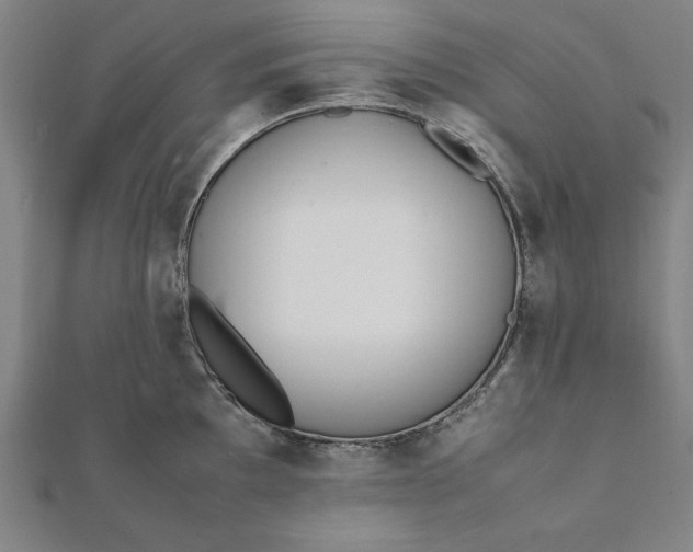 X0000112051097200908181131