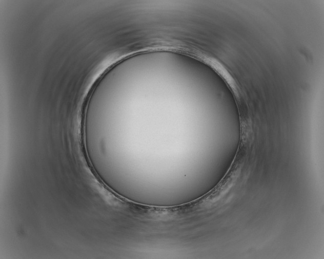 X0000112051099200908181131