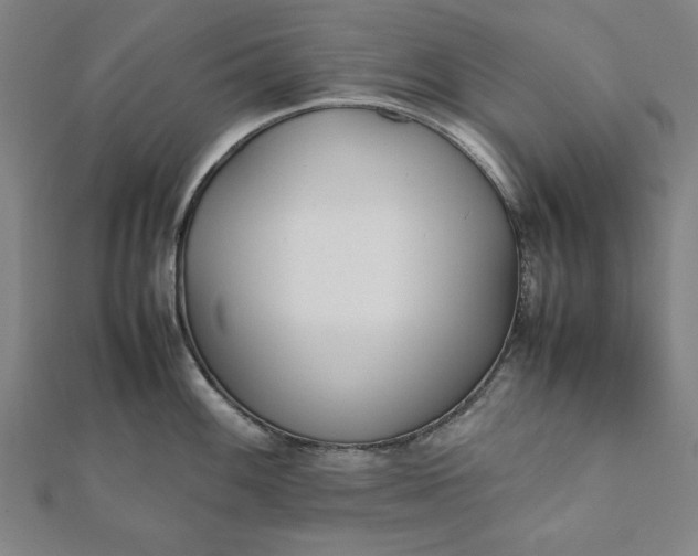 X0000112051100200908181131