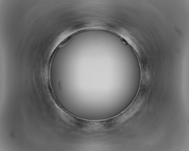 X0000112051101200908181131