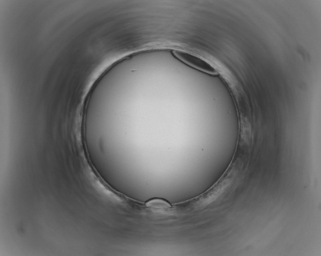 X0000112051102200908181131