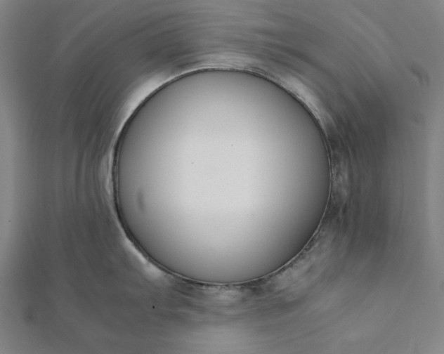 X0000112051103200908181131