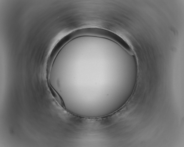 X0000112051104200908181131