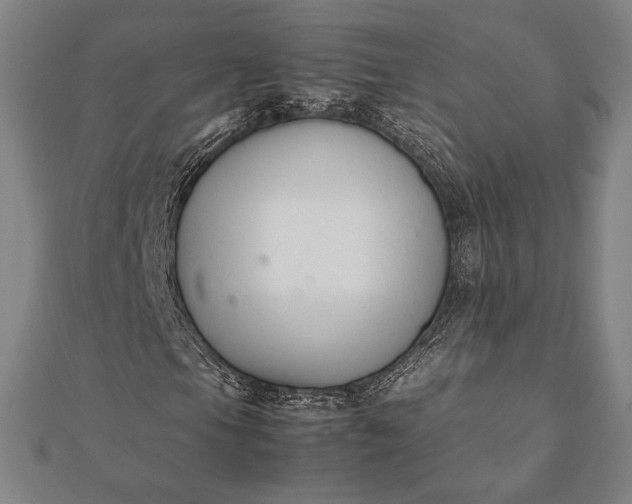 X0000112051105200908181131