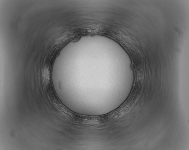 X0000112051106200908181131