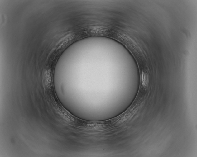 X0000112051107200908181131