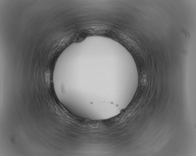 X0000112051108200908181131