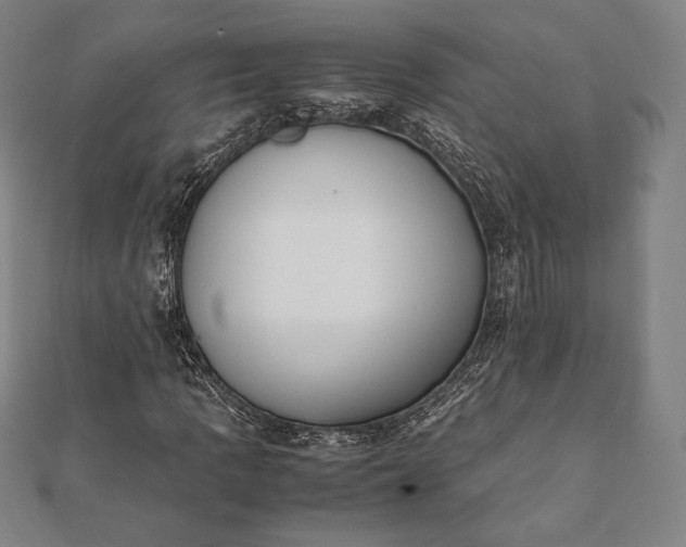 X0000112051109200908181131