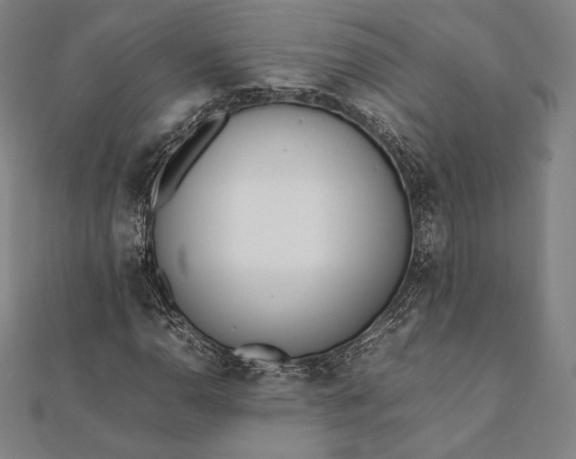 X0000112051110200908181131