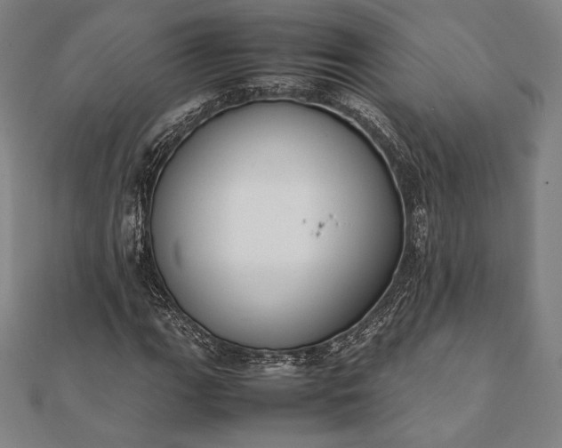 X0000112051111200908181131