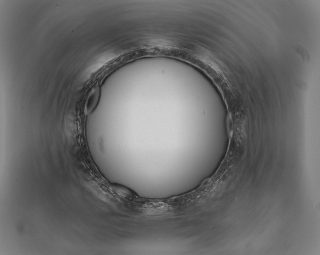 X0000112051112200908181131