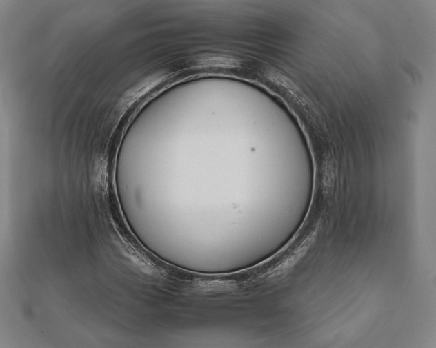 X0000112051113200908181131