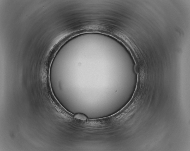 X0000112051115200908181131