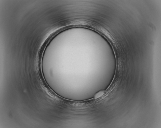 X0000112051116200908181131