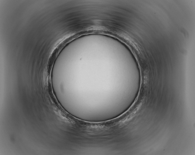 X0000112051117200908181131