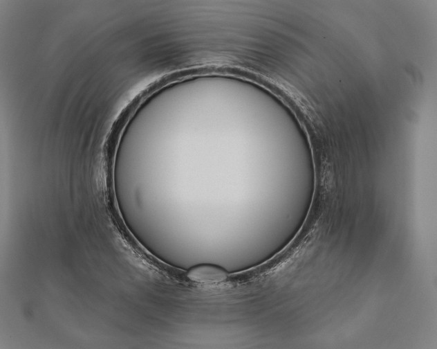 X0000112051118200908181131