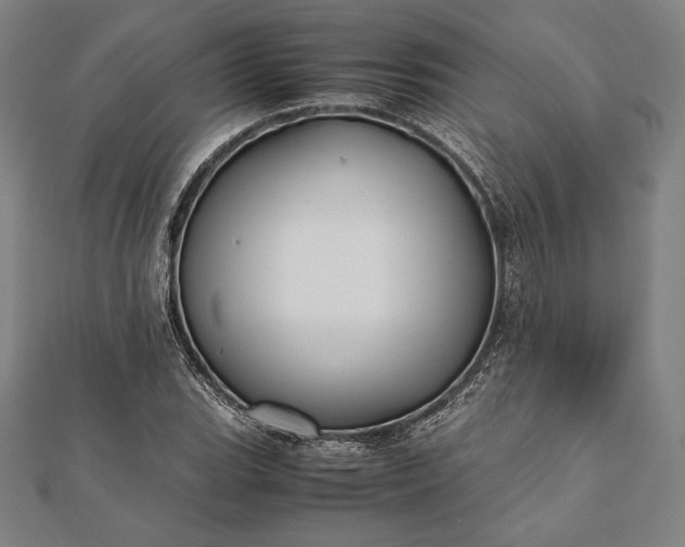 X0000112051119200908181131