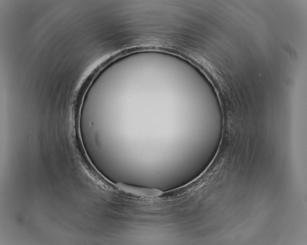 X0000112051120200908181131