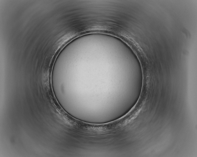 X0000112051121200908181131