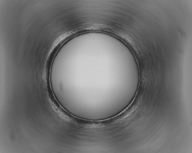 X0000112051122200908181131