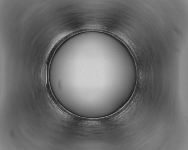 X0000112051123200908181131