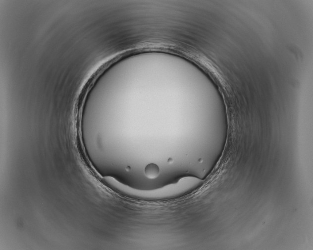 X0000112051124200908181131