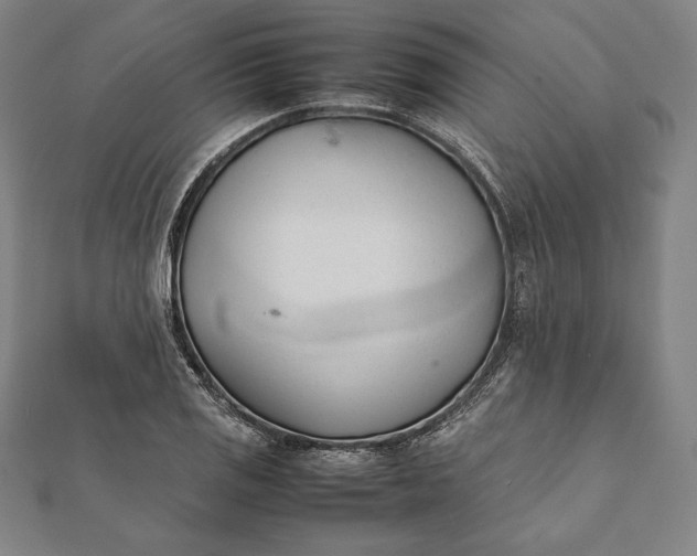 X0000112051125200908181131