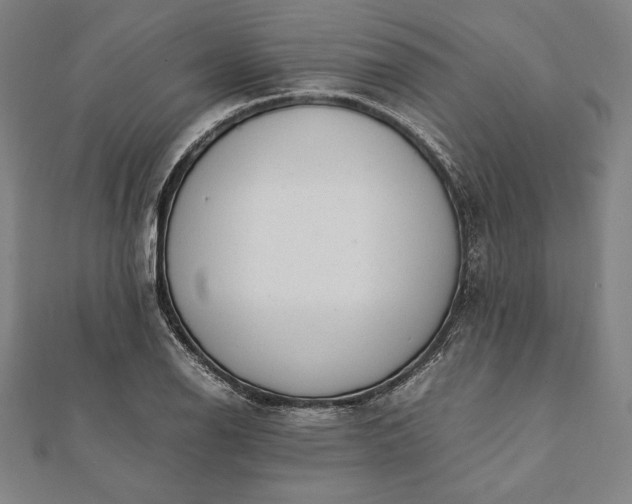 X0000112051126200908181131