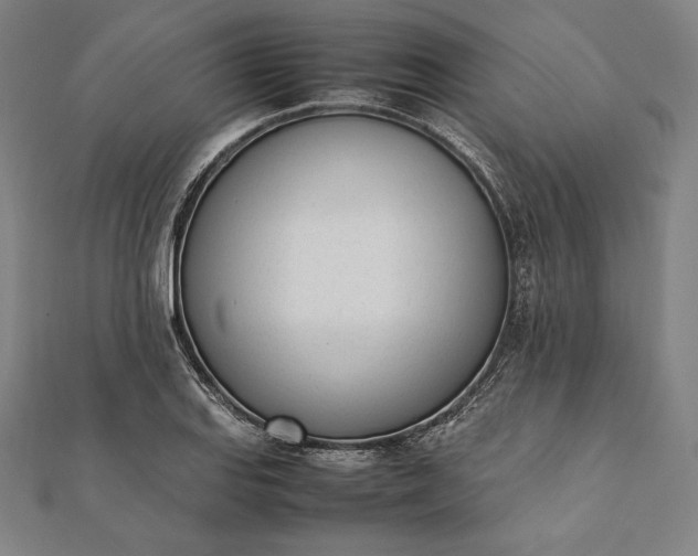 X0000112051127200908181131