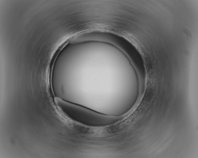 X0000112051128200908181131