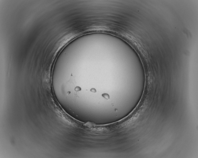 X0000112051129200908181131