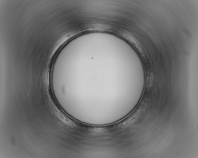 X0000112051130200908181131