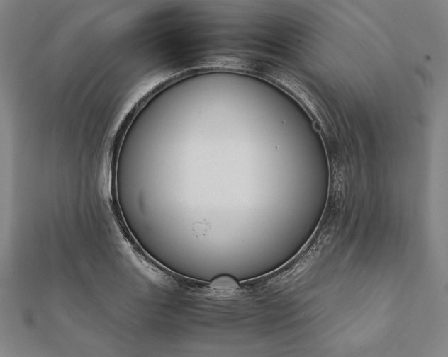 X0000112051131200908181131