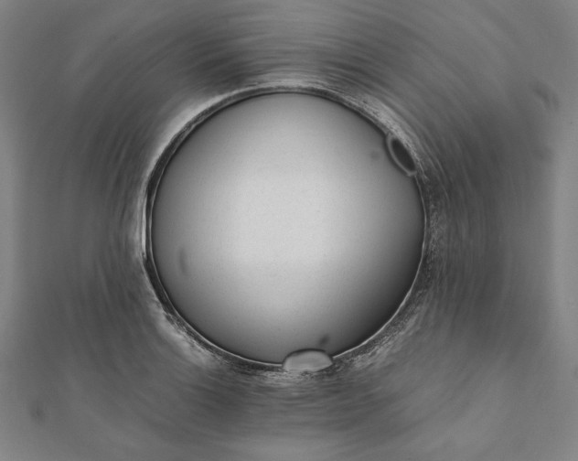 X0000112051132200908181131