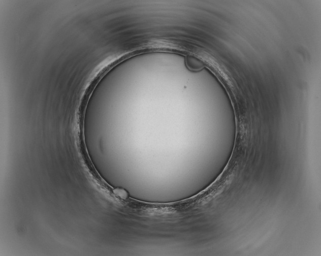 X0000112051133200908181131